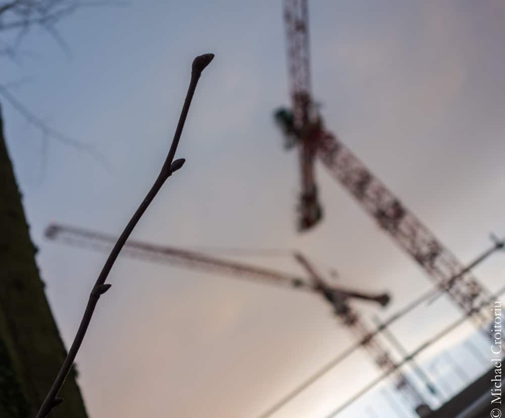Green crane